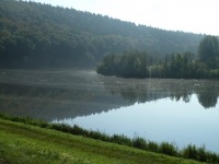 P1070775