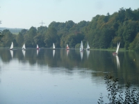 P1070782