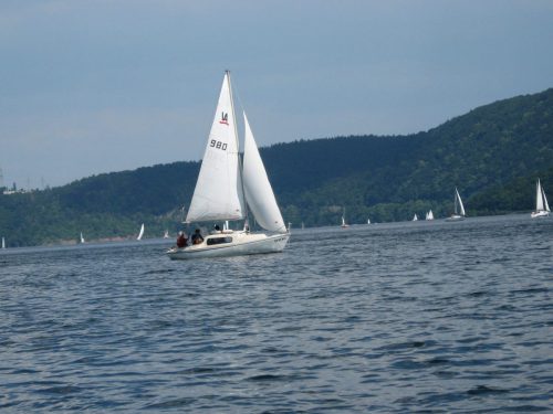 IMG 0123