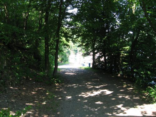 IMG 0143