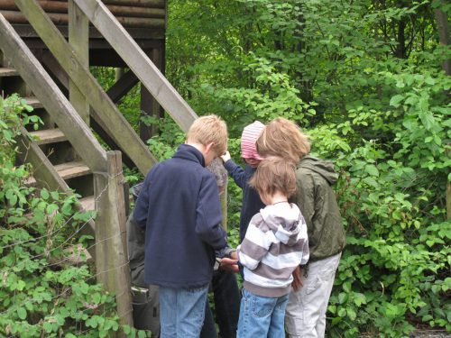 IMG 0636