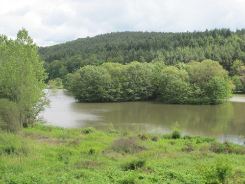IMG 0642