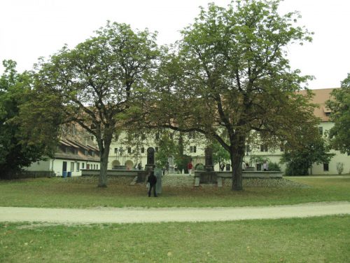 IMG 3922
