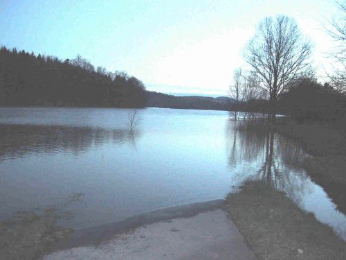 STAUSEE 